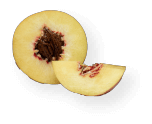 ファンタジア